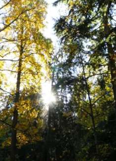 华盛顿公园：美丽动人，让人着迷