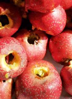 姐琢磨出山楂去核小窍门，手工做山楂罐头省事多了，真是太有才了