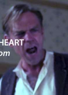 最无法言说的悲伤，是来自所爱之人的伤害