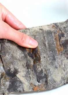 洗干海带，用清水洗不管用，教你正确方法，泥沙脏污轻松洗干净