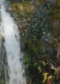 俄勒冈州：令人叹为观止的自然风光