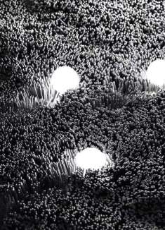 卢布林电影节开幕动画，史诗级电影感