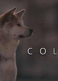 不要悲伤，一切都会好起来的