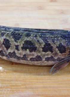 吃了这么多的乌鱼,鲜香细嫩特别下饭