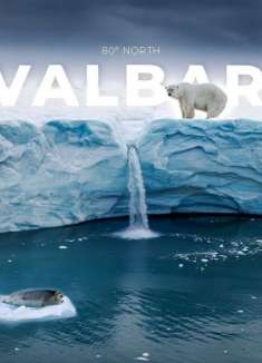 跨进北极圈，地球「最北」的顶级风景