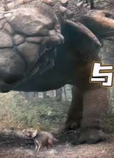 从小身体瘦弱被欺负的小恐龙，长大后凭借一个耳洞逆袭龙生