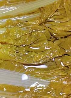 冬季吃不完的大白菜用来做酸菜，清脆爽口简单易做，放两天就能吃