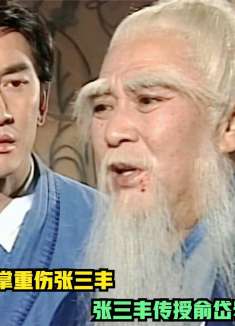 14.假空相偷袭重伤张三丰，张三丰传授俞岱岩绝学太极拳