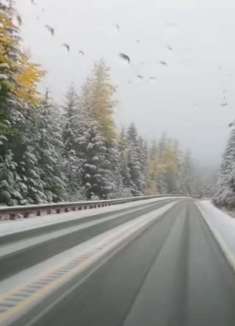 冬季美景：感受童话般的美景吧