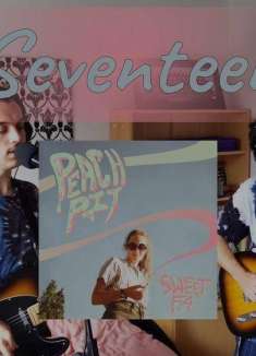 小众独立流行乐队，夏日爱情已然结束