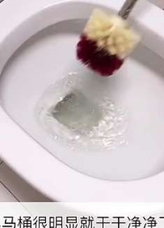 厕所太臭怎么办放入这3样东西，再也不会有味，学会受用一生