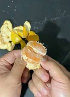 橘子皮不要扔掉了，原来这么实用，看完后涨见识了