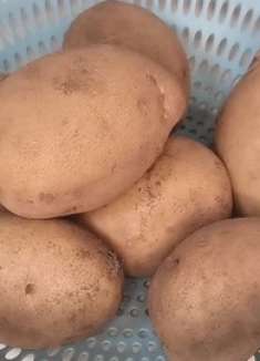 今天刚知道，保存土豆如此简单，放一年不生芽不变黑，方法真实用