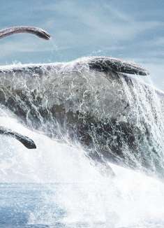 特效震撼！近十年来最好的恐龙纪录片《史前星球2》