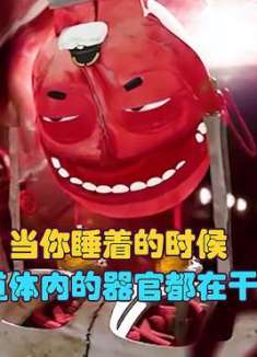 当你睡着后体内的器官都在干嘛