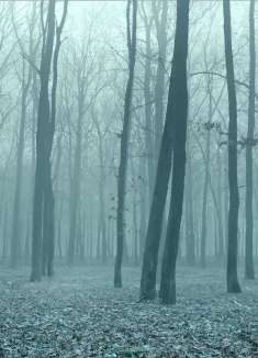 「西线无战事」，史上最伟大的反战电影改编