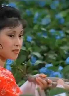 飞狐：小子闯药王谷，姑娘送给他两朵花，怎料最后竟救了他小命！