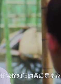 《墨雨云间》杨超越成功扳倒佟知阳，彻底解决了叶家的危机