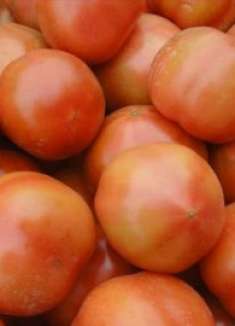 买西红柿要选“母”的，看这地方一眼辨别，避开催熟西红柿，看看