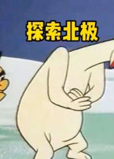 在探险北极的过程中，碰见了南极的企鹅