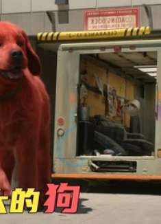 女孩收养一只小狗，不料第二天竟变成车那么大