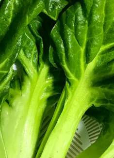 达人美食:春季不要错过这道菜鲜香脆嫩,去饭店都吃不到