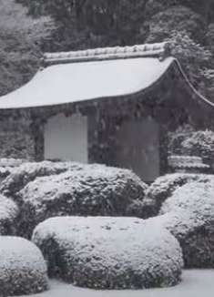 雪掌禅寺：美丽的寂静花园