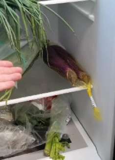 冰箱脏了别用清水擦，我教你个方法，冰箱干净还无味道，学学