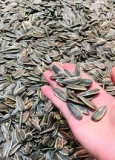 今天才知道，春节买瓜子这4种不要买，小贩自己都不吃，留心了