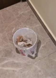 不管家里有多大，垃圾桶不要放这3个地方，一样都不行，有讲求