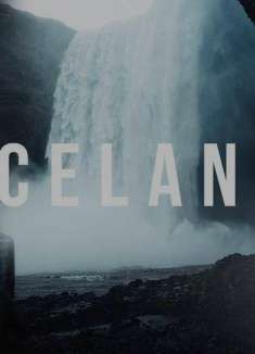 大片质感震撼冰岛，奔赴天际的群鸟