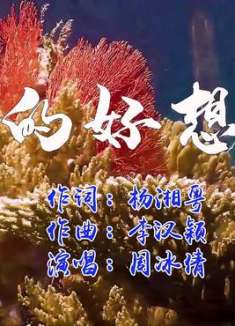 真的好想你，周冰倩演唱