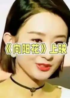 《向阳花》女性力量绽放