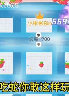 贪吃蛇你敢这样玩吗？