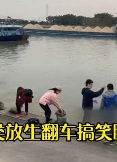 盘点那些人类放生翻车搞笑瞬间，看起来是放生，实际上是超度