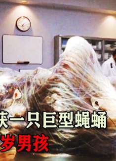 科学家捕获一只巨型蝇蛹，包裹5岁男孩，破壳后差点遭团灭，电影