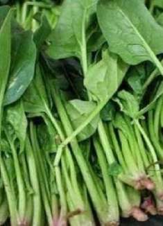 遇到这三种菠菜立马扭头就走，菜贩子偷偷告诉我，最近她们都不吃