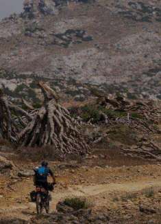 索科特拉岛，失落之地的自行车旅行