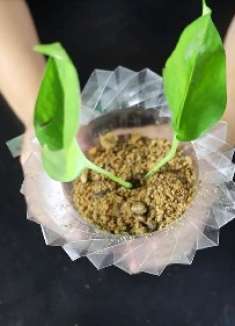 塑料瓶还不藏起来？一招变废为宝，简单实用，可惜你还不知道