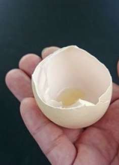 用完的鸡蛋壳不要扔，还有特别大的作用，一年省不少钱，回家找找