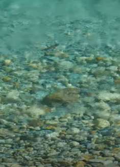 潺潺流水，感受自然的美景