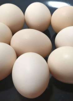 立秋后要多吃鸡蛋，教你一个神仙吃法，不炒不煮，比吃肉过瘾