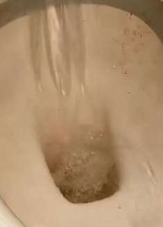 塑料瓶装它放马桶后箱，一半人不知道有啥用，但家家放了都惊喜