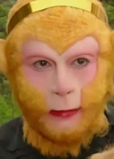 唐僧被孔雀公主给掳走，猴哥八戒去找青狮白象妖怪算账