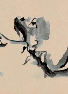 意识流唯美视觉，小众慢摇 MV「水墨」