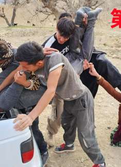 第161集  卡万被掳走，尼娜则迷失在了山谷