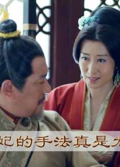 论静妃的麒麟手段，成功升级为贵妃，靖王学会扮猪吃老虎