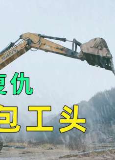 包工头杀死一条巨蟒，不料10年后蛇儿子前来复仇，结局真给力