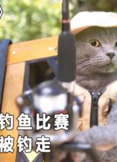 猫咪参加钓鱼比赛，结果自己被钓走，萌宠短片《迈克猫》