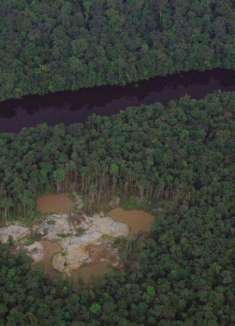 轻松舒适的摄影作品：脆弱的森林